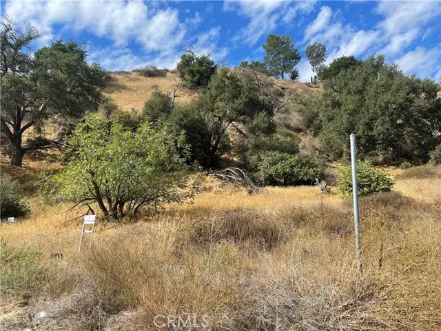 Val Verde, CA 91384,0 Chiquita Canyon RD