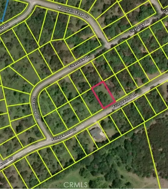 44209 Fringewood DR, TX 76692