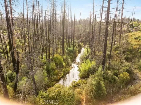 Berry Creek, CA 95916,0 & 98 Gamble RD