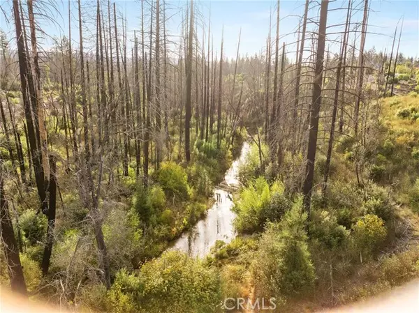 Berry Creek, CA 95916,0 & 98 Gamble RD