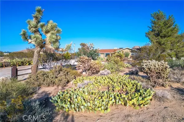 Joshua Tree, CA 92252,8775 Desert Shadow RD