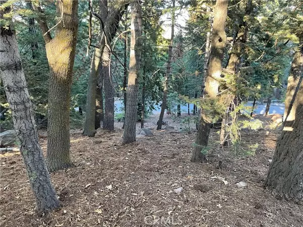 Lake Arrowhead, CA 92391,26405 Walnut HLS