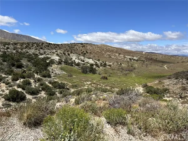 CA 93543,0 Longview Rd/Punchbowl Rd/Vic Ave Y6