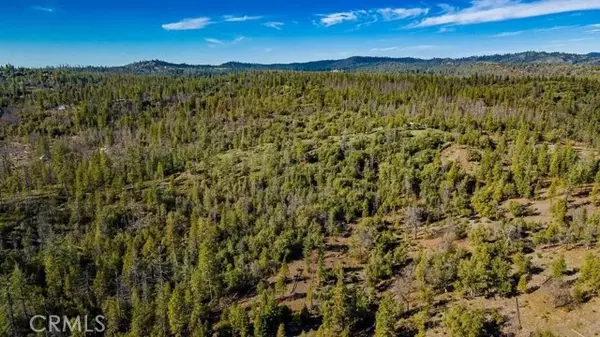 Coulterville, CA 95311,0 Ernst RD