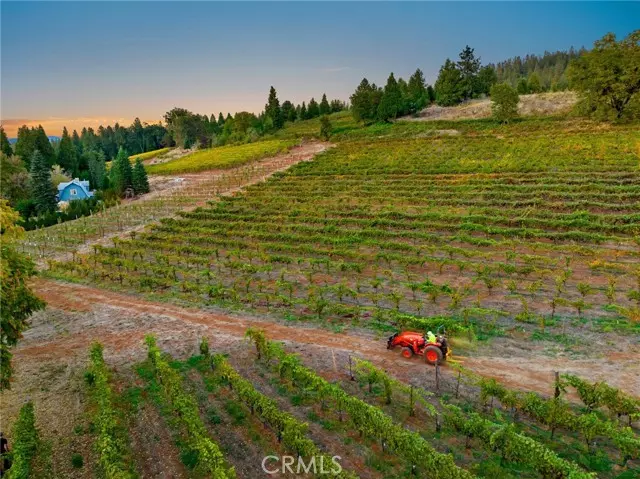 2781 Larsen, Camino, CA 95709