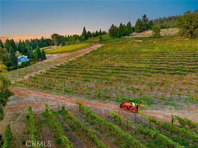 Camino, CA 95709,2781 Larsen