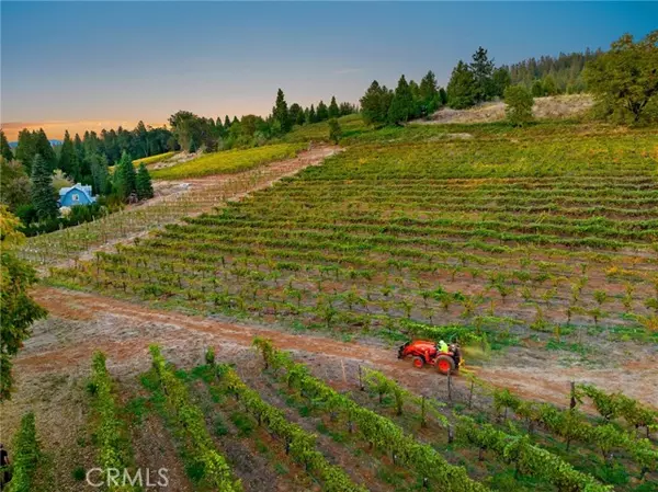 2781 Larsen, Camino, CA 95709