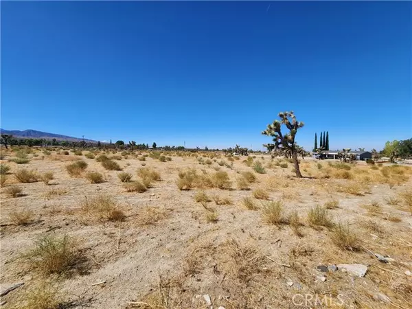 Pinon Hills, CA 92372,11226 Primavera RD