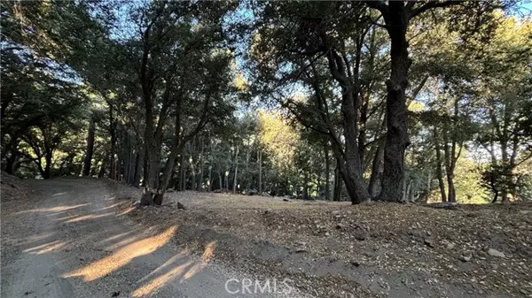 Cedarpines Park, CA 92322,722 Mojave River RD