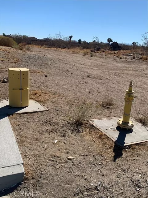 Victorville, CA 92392,0 Fremontia