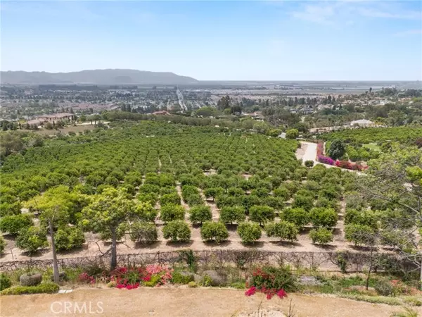 Camarillo, CA 93010,15 Encino Ave