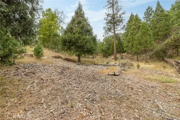 26 Timberview, North Fork, CA 93643