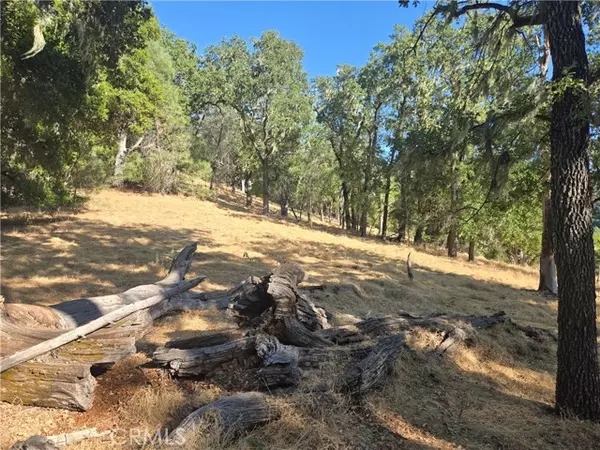 Paso Robles, CA 93446,0 Gallegos Ranch RD