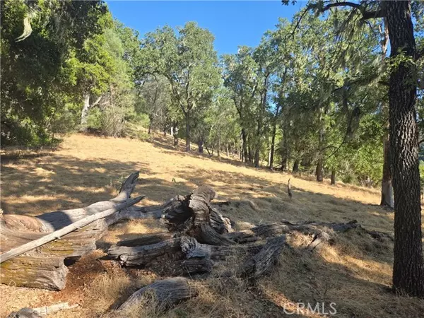 Paso Robles, CA 93446,0 Gallegos Ranch RD