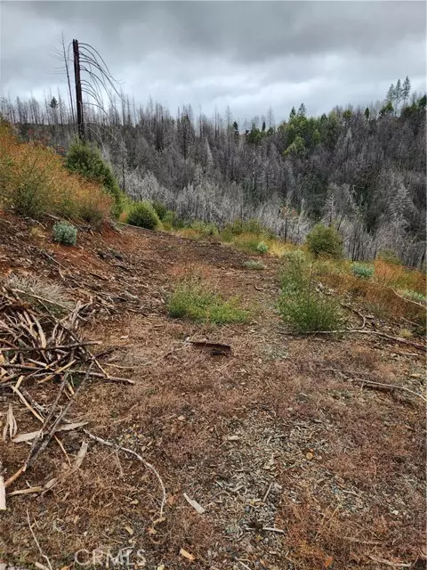 Berry Creek, CA 95916,0 Oro-Quincy