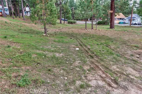 Big Bear Lake, CA 92315,545 545 Wren DR