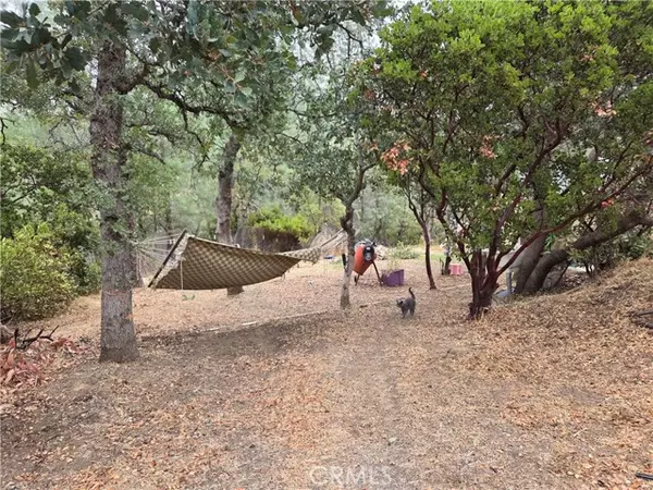 Corning, CA 96021,7036 MAVERICK