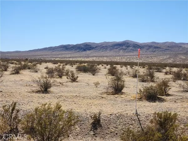 Helendale, CA 92342,3334 Panamint TRL