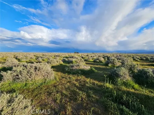 Rosamond, CA 93560,359 35931505005