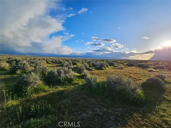 Rosamond, CA 93560,359 35931505005