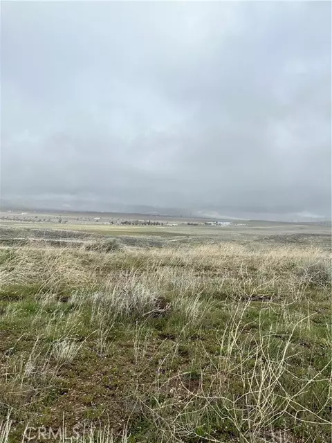 Tehachapi, CA 93561,0 Dotty CT