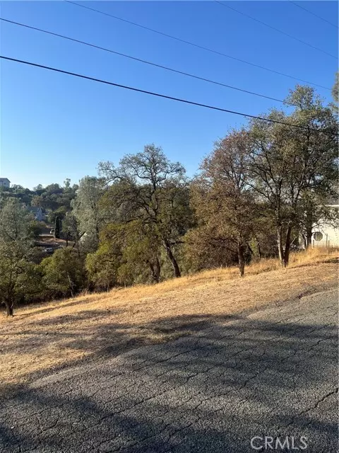 Oroville, CA 95966,175 Lemon HL