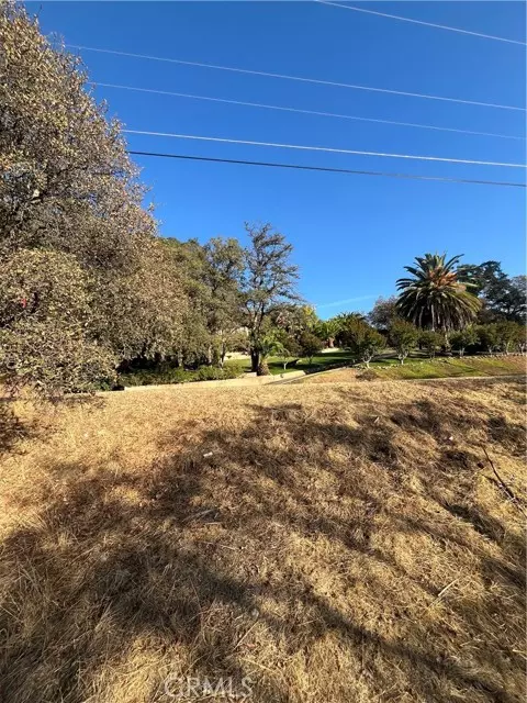 Oroville, CA 95966,175 Lemon HL