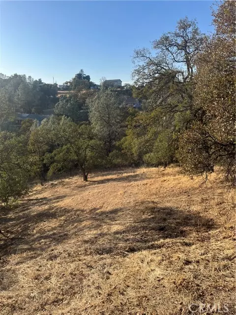 Oroville, CA 95966,175 Lemon HL