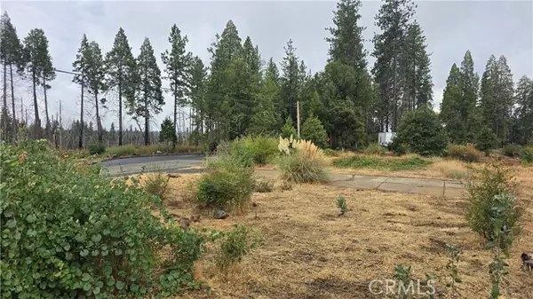 Magalia, CA 95954,6167 Ponderosa
