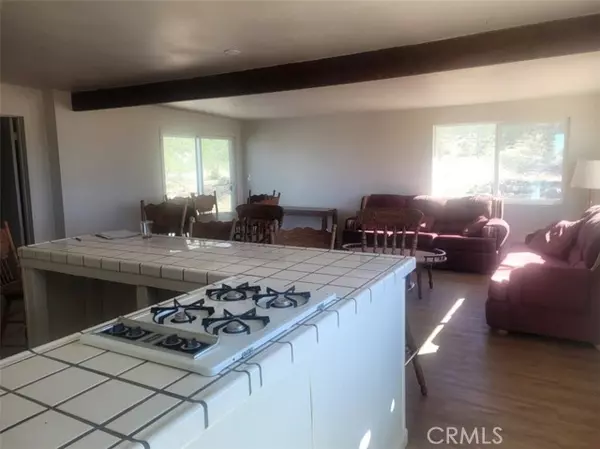 Johnson Valley, CA 92285,50471 Cholla