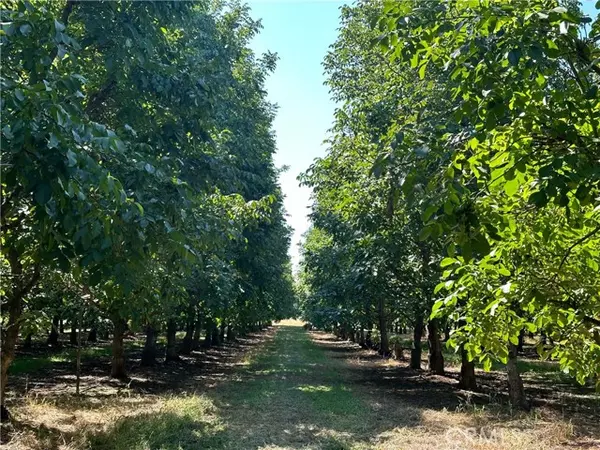 Los Molinos, CA 96055,25040 63rd AVE