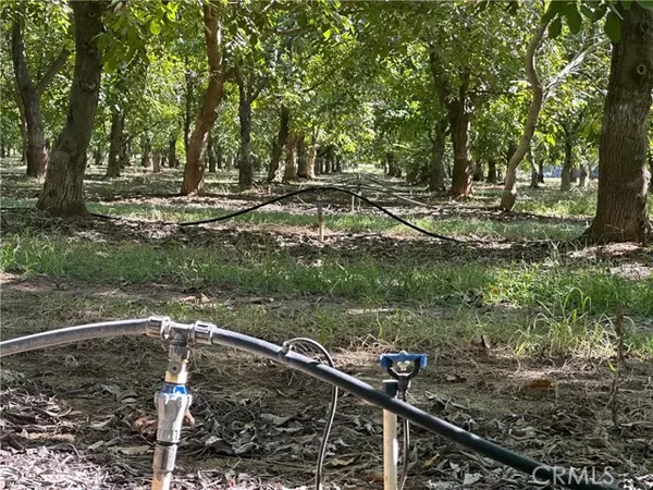 Los Molinos, CA 96055,25040 63rd AVE