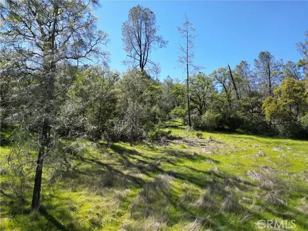 Oroville, CA 95965,0 Hidden Mine Rd