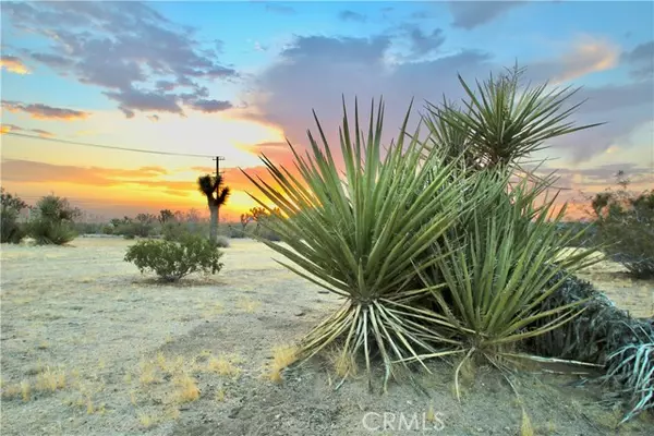 Yucca Valley, CA 92284,0 Forrest
