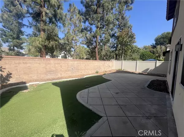 Irvine, CA 92620,43 Straw Flower