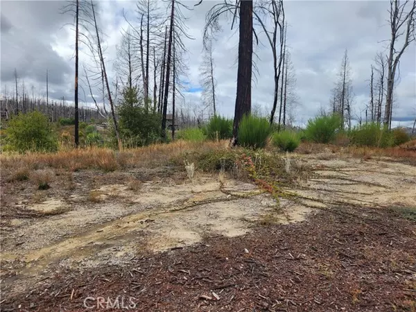 Berry Creek, CA 95916,1103 Bald Rock RD