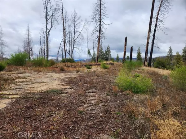 Berry Creek, CA 95916,1103 Bald Rock RD