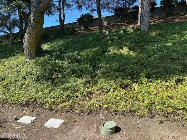 Aliso Viejo, CA 92656,24 Tamarac