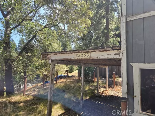 Cedarpines Park, CA 92322,22253 Pine DR