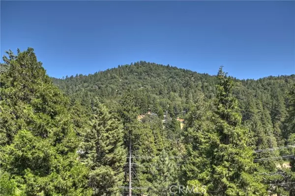 Crestline, CA 92325,489 Dorn