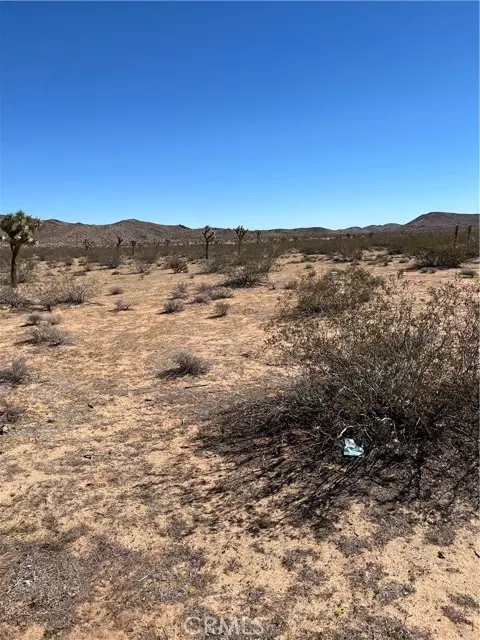 Landers, CA 92285,0 Avalon