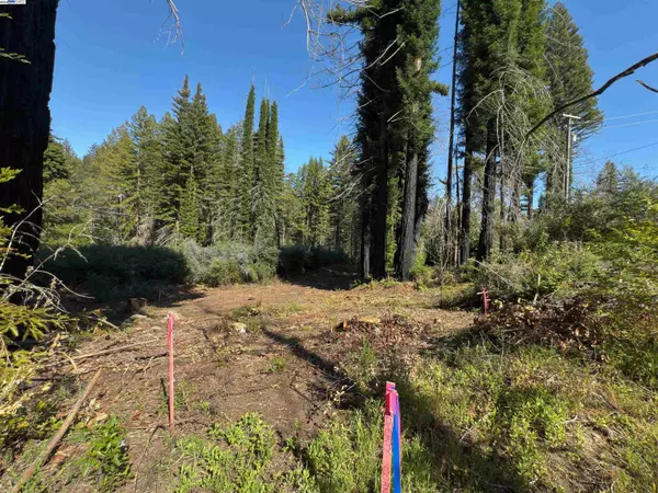 Boulder Creek, CA 95006,0 Fallen Leaf Dr