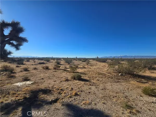 Adelanto, CA 92301,11955 Coronado AVE