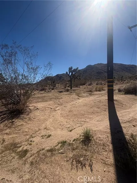 Joshua Tree, CA 92252,0 Melton