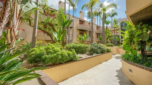 Torrance, CA 90502,941 W Carson ST 106