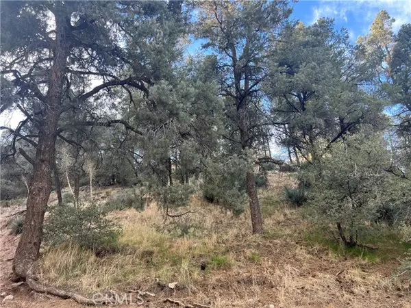 0 Encino and Truman, Frazier Park, CA 93225