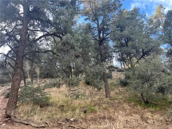 Frazier Park, CA 93225,0 Encino and Truman