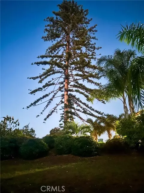 Vista, CA 92084,1955 Friendly