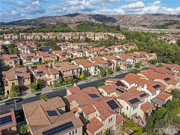 Irvine, CA 92602,9 Spanish Moss