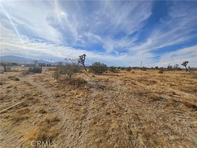 Pinon Hills, CA 92372,0 263rd RD